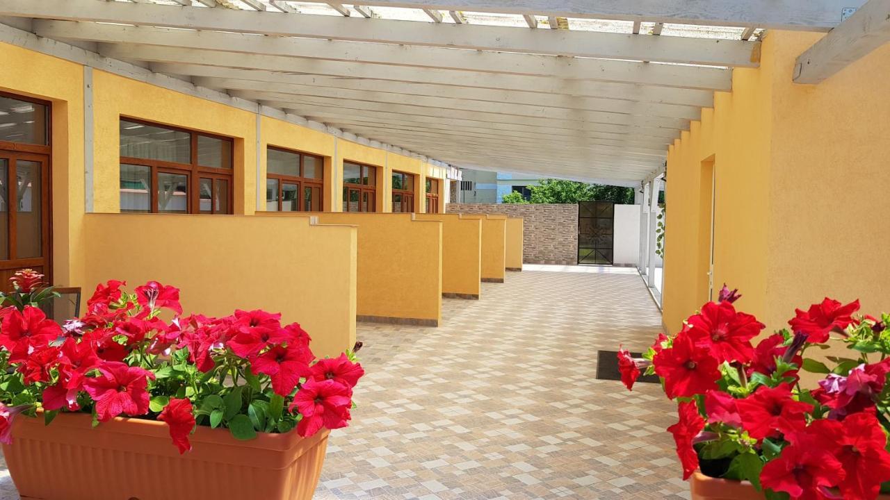 Resting House Hotel Brassó Kültér fotó